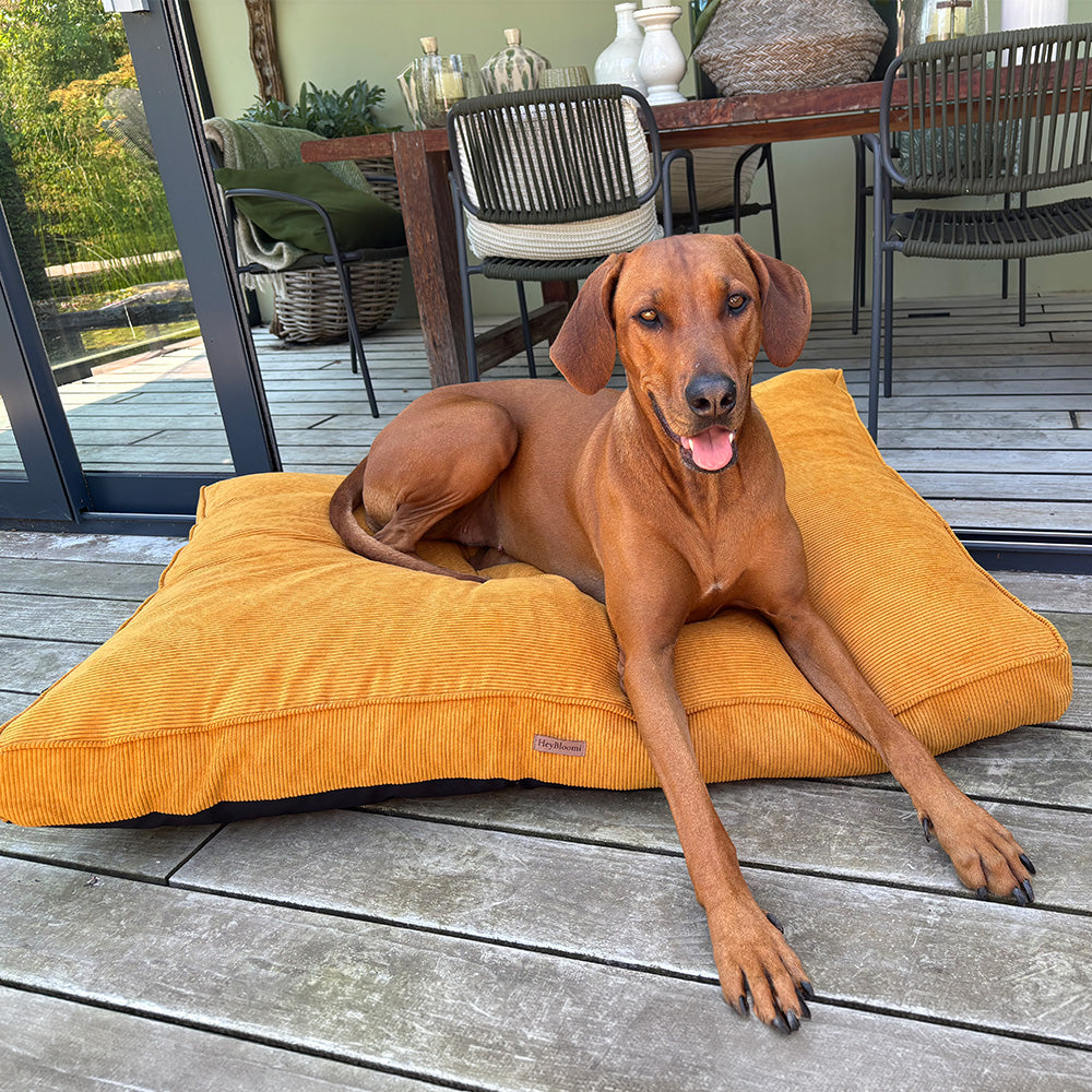 Orthopädische Hundematratze aus Cord
