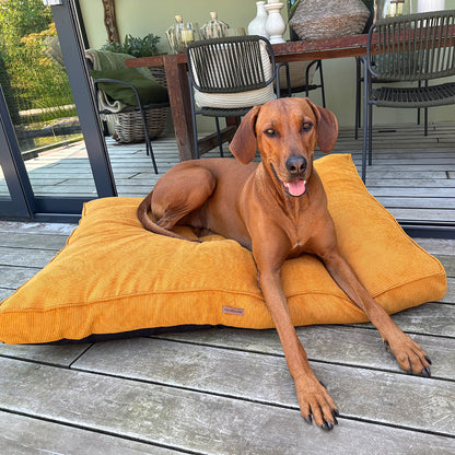 Orthopädische Hundematratze aus Cord