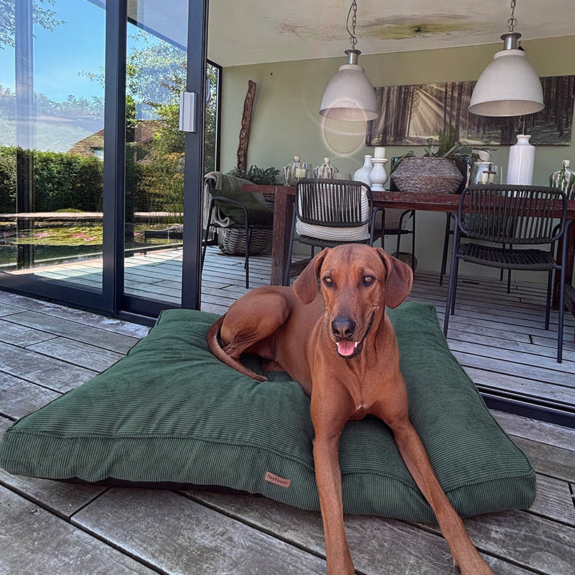 Orthopädische Hundematratze aus Cord