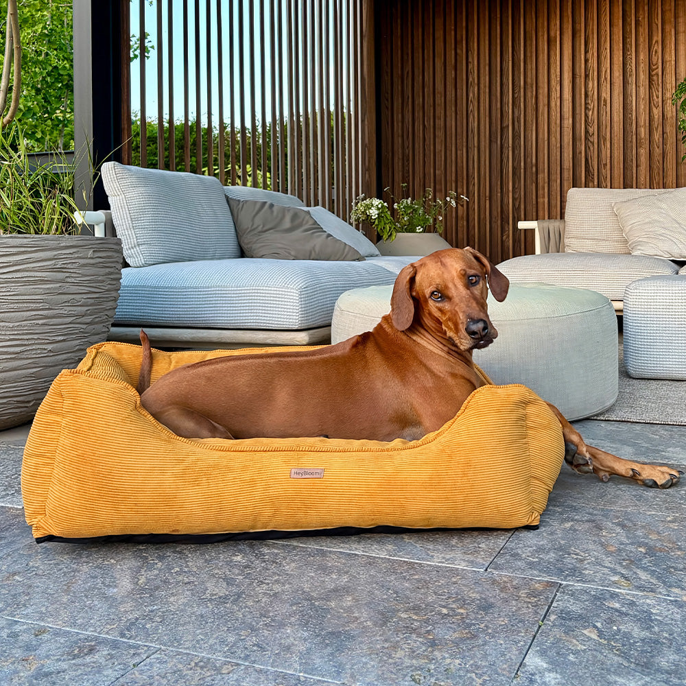Orthopädisches Hundebett aus Cord