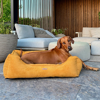 Orthopädisches Hundebett aus Cord