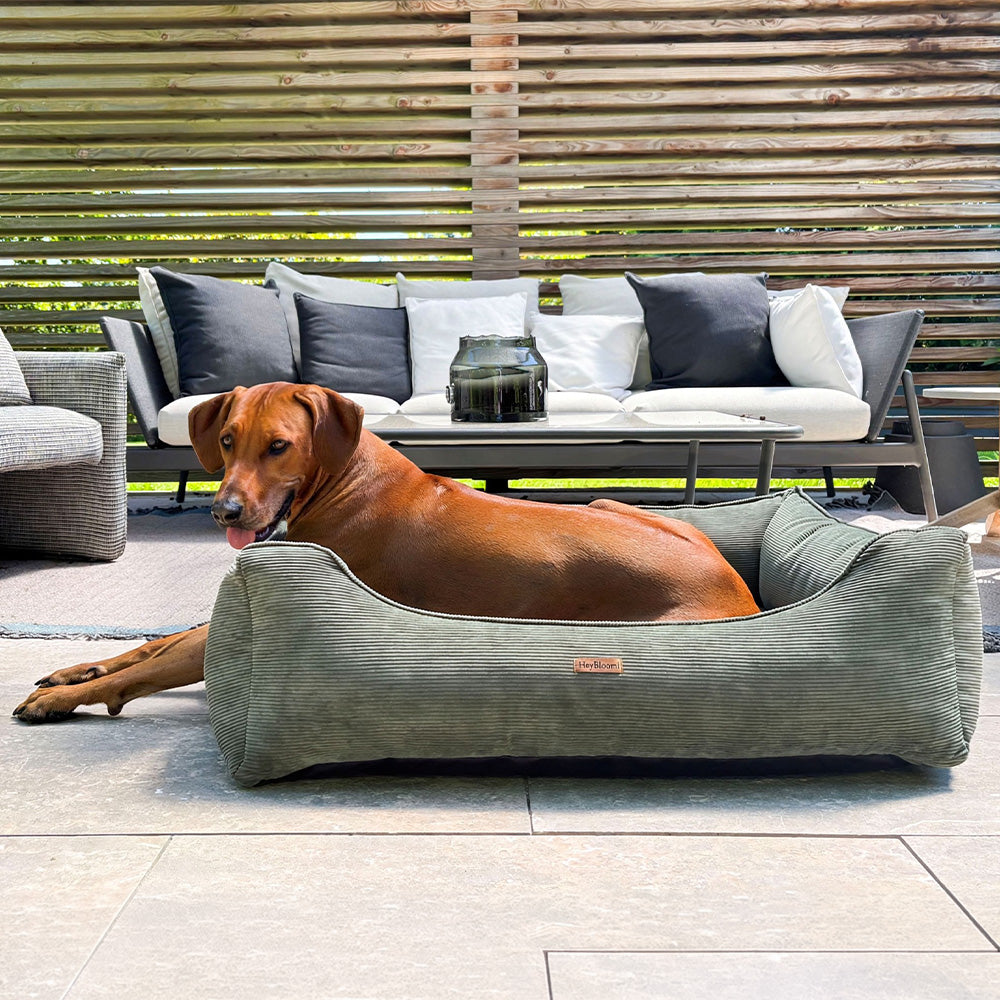 Orthopädisches Hundebett aus Cord