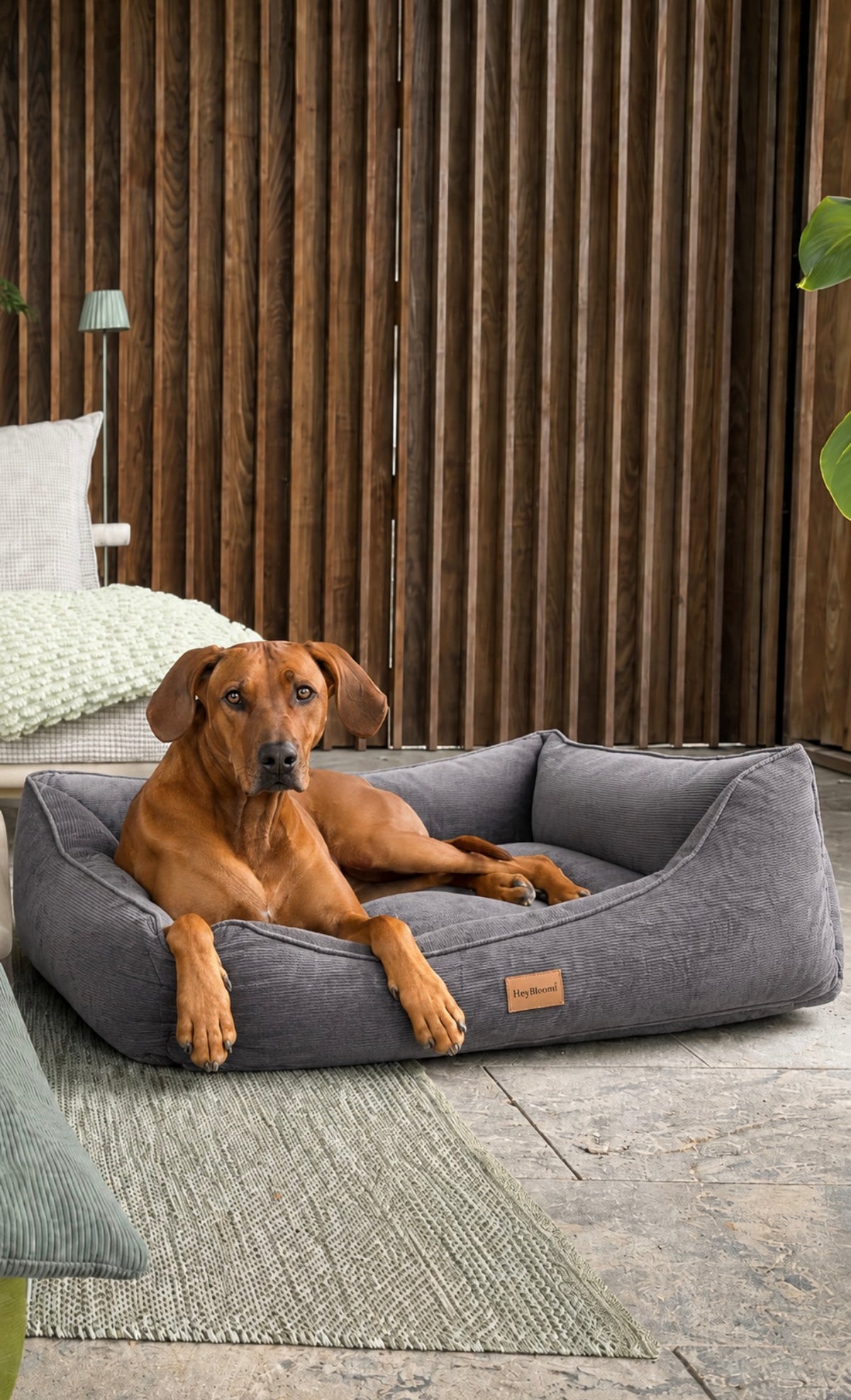 Orthopädisches Hundebett aus Cord